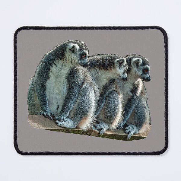 Item preview, The 3 Amigos designed and sold by Dalyndigital Photography.