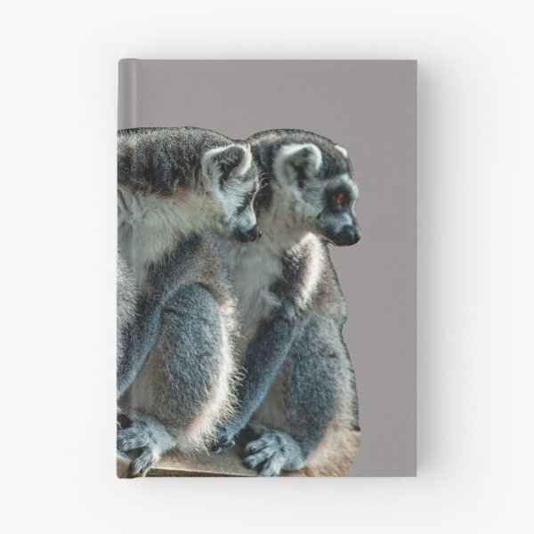 Item preview, The 3 Amigos designed and sold by Dalyndigital Photography.