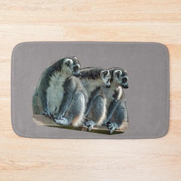 Item preview, The 3 Amigos designed and sold by Dalyndigital Photography.