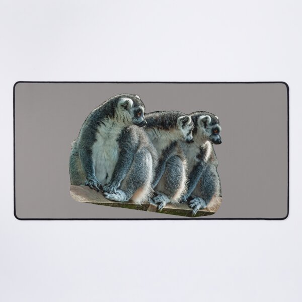 Item preview, The 3 Amigos designed and sold by Dalyndigital Photography.