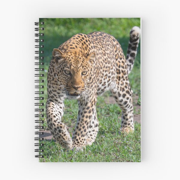 Item preview, Leopardo designed and sold by Lee Wilson.