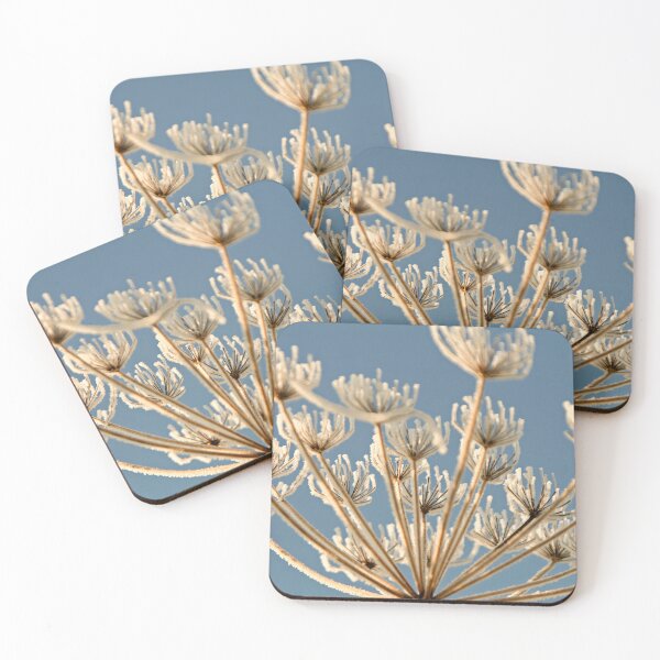 Item preview, Frozen Umbel designed and sold by Calidris Fotografie Steffi & Ben Köppler.
