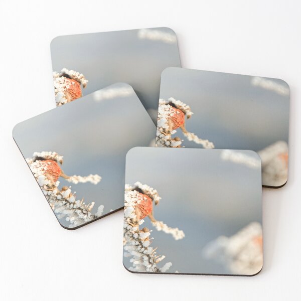 Item preview, Frozen Rose Hip designed and sold by Calidris Fotografie Steffi & Ben Köppler.