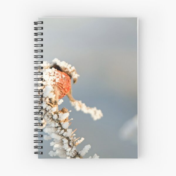 Item preview, Frozen Rose Hip designed and sold by Calidris Fotografie Steffi & Ben Köppler.