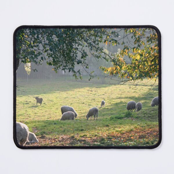 Item preview, Autumn sheep designed and sold by Calidris Fotografie Steffi & Ben Köppler.