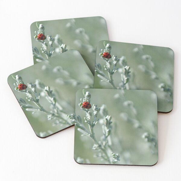 Item preview, Ladybird on Sea Wormwood designed and sold by Calidris Fotografie Steffi & Ben Köppler.