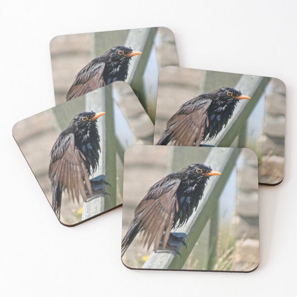 Item preview, What a mess! designed and sold by Calidris Fotografie Steffi & Ben Köppler.