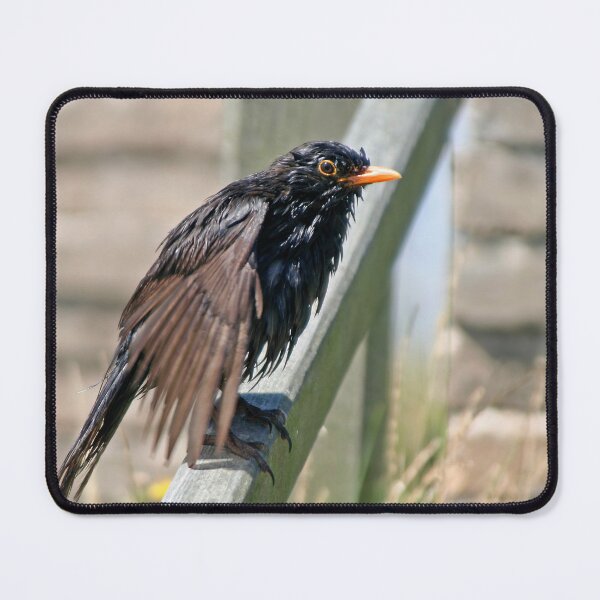 Item preview, What a mess! designed and sold by Calidris Fotografie Steffi & Ben Köppler.