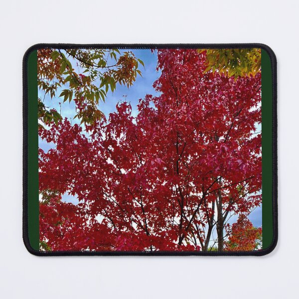 Item preview, Upstate New York in October  designed and sold by Susan Gallup.
