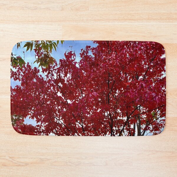 Item preview, Upstate New York in October  designed and sold by Susan Gallup.