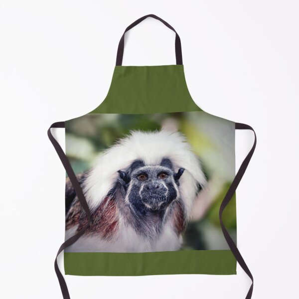 Item preview, Cotton-top  designed and sold by Savannah Gibbs.