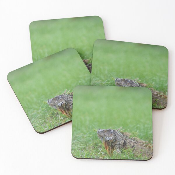 Item preview, Iguana Sunbathing in South Florida designed and sold by Lisa Liberty.