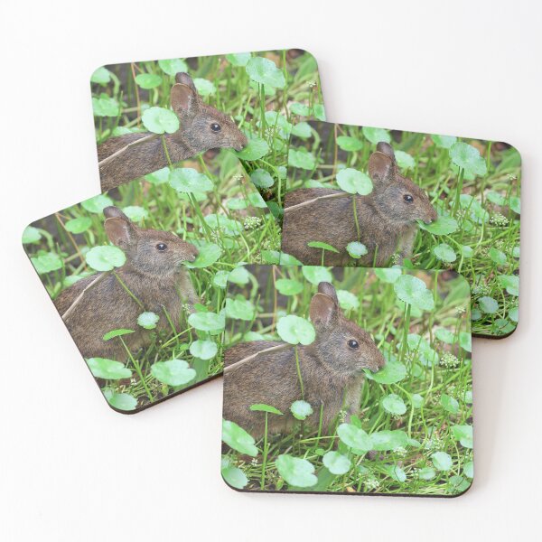 Item preview, Marsh Rabbit Having Some Lunch designed and sold by Lisa Liberty.