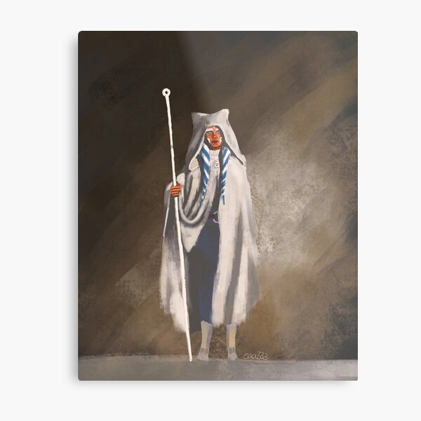 The Apprentice Metal Print