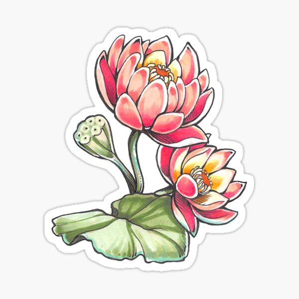 Lotus Blossoms Sticker