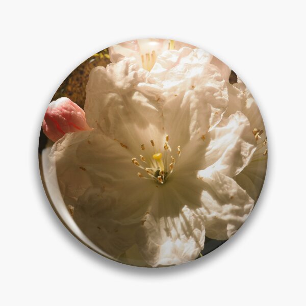 Item preview, Bloom in Glenveagh Garden designed and sold by eddiebarronshop.