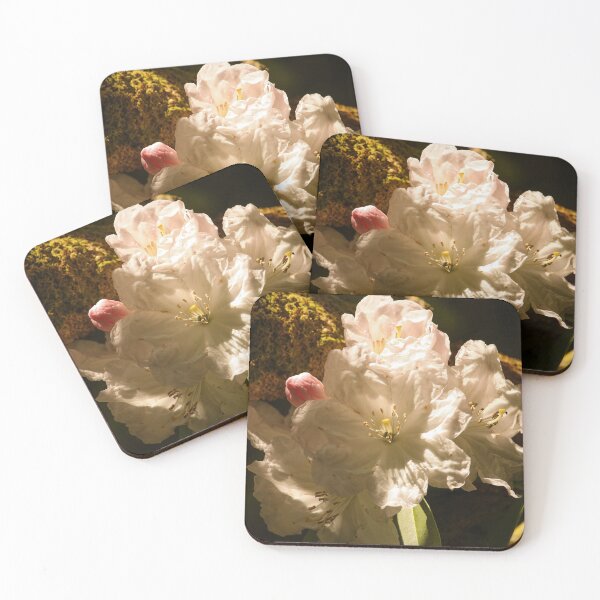 Item preview, Bloom in Glenveagh Garden designed and sold by eddiebarronshop.