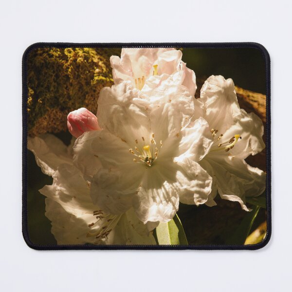 Item preview, Bloom in Glenveagh Garden designed and sold by eddiebarronshop.