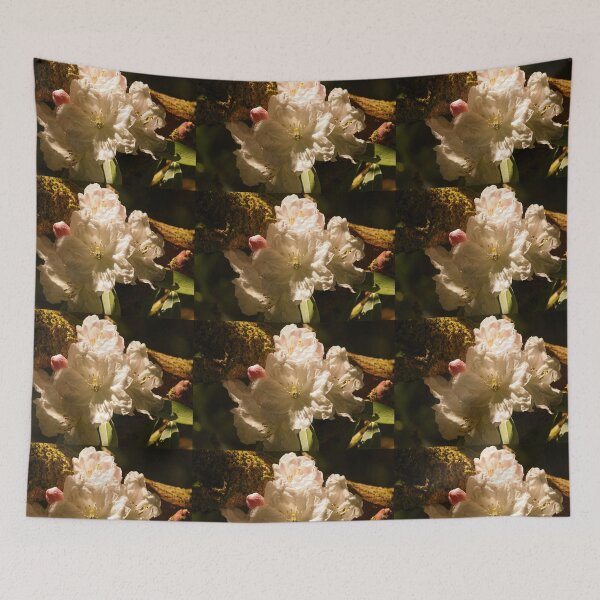 Item preview, Bloom in Glenveagh Garden designed and sold by eddiebarronshop.