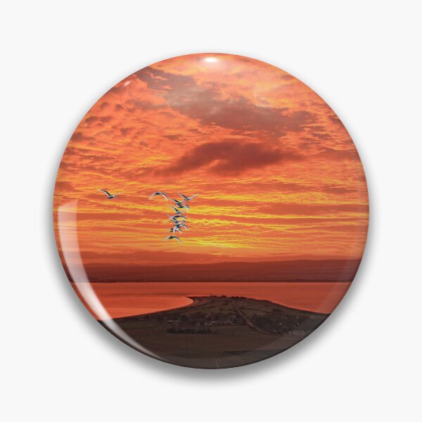 Item preview, Chanonry Point with Whooper Swans designed and sold by sandysshoots.