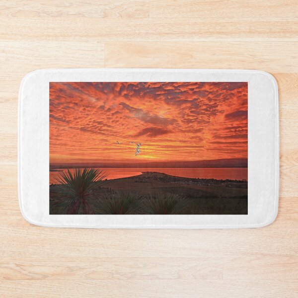 Item preview, Chanonry Point with Whooper Swans designed and sold by sandysshoots.