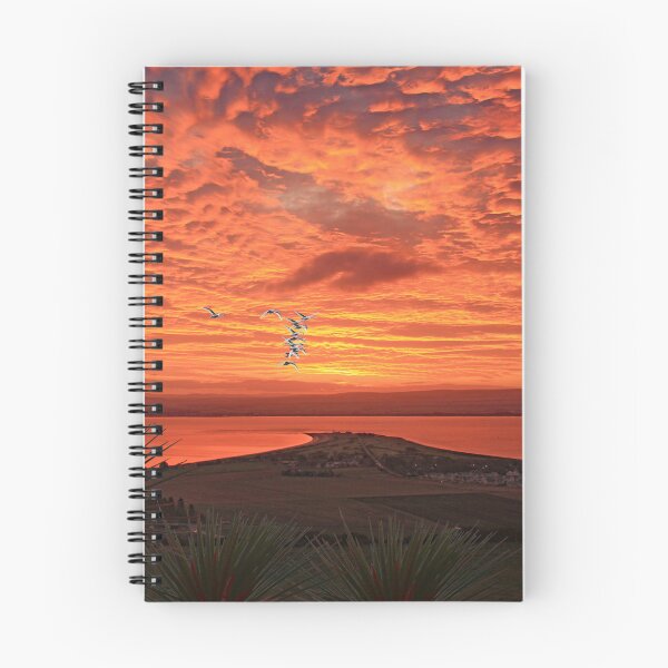Item preview, Chanonry Point with Whooper Swans designed and sold by sandysshoots.