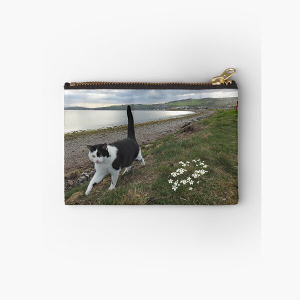 Item preview, Fortrose Travelling Companion!  designed and sold by sandysshoots.