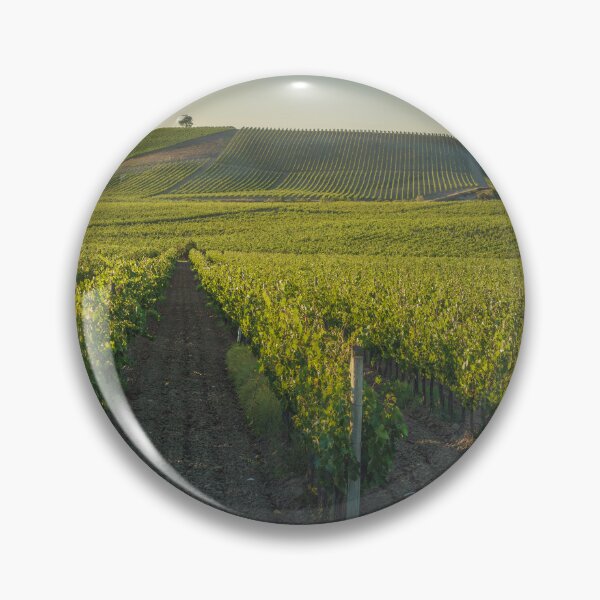 Item preview, Vineyards at sunset. Castellina in Chianti, Tuscany, Italy designed and sold by Stefano Orazzini.