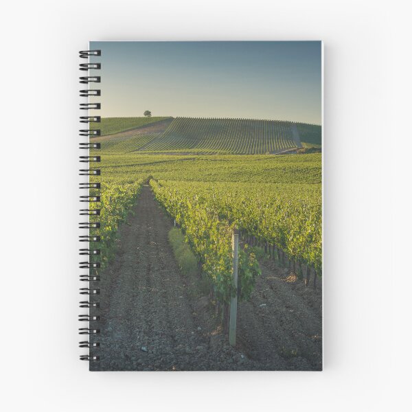 Item preview, Vineyards at sunset. Castellina in Chianti, Tuscany, Italy designed and sold by Stefano Orazzini.