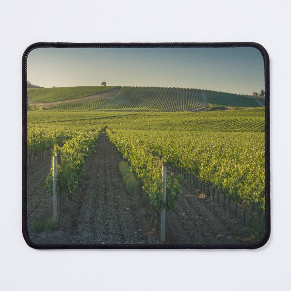 Item preview, Vineyards at sunset. Castellina in Chianti, Tuscany, Italy designed and sold by Stefano Orazzini.