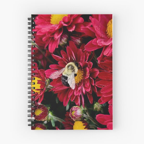 Aperçu de l'œuvre Abeille d'été créée et vendue par OutJsWindow.