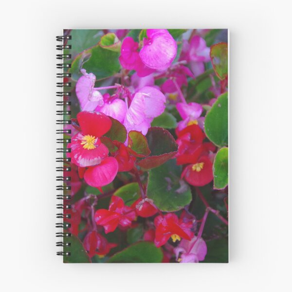 Item preview, Mixed Begonias designed and sold by lezvee.