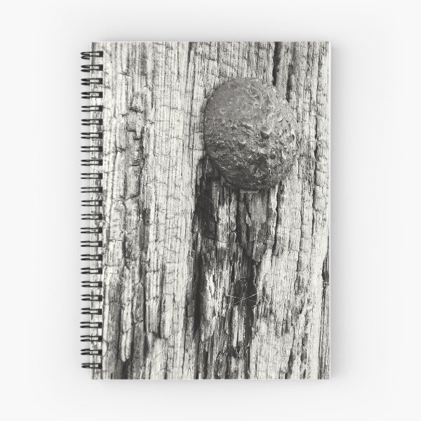Item preview, The nail designed and sold by Hensfield.
