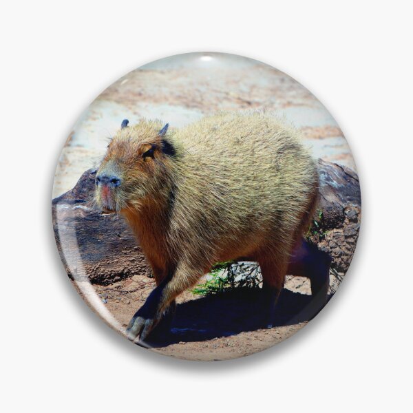 Item preview, Capybara designed and sold by Savannah Gibbs.