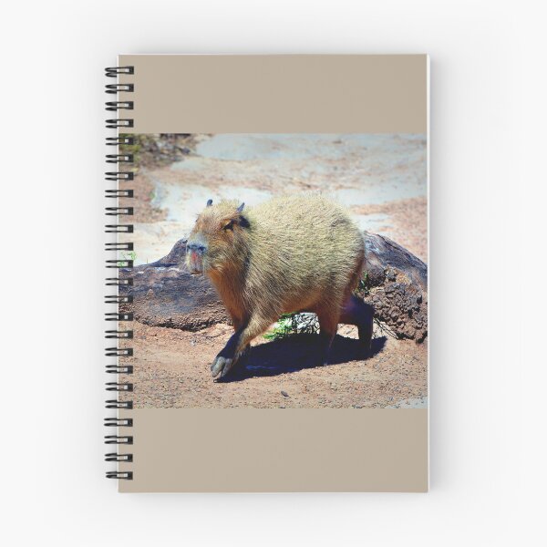 Item preview, Capybara designed and sold by Savannah Gibbs.