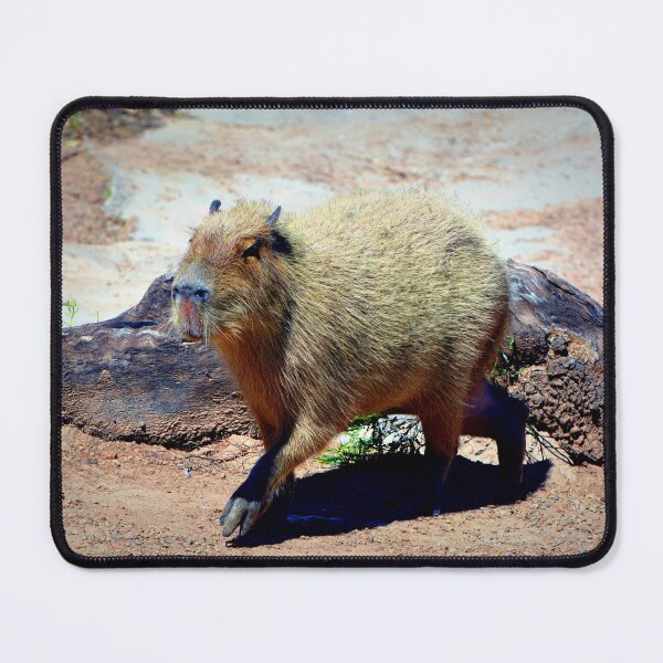 Item preview, Capybara designed and sold by Savannah Gibbs.