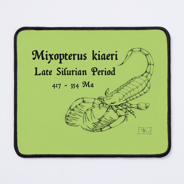 Item preview, Mixopterus kiaeri designed and sold by DavidNeffArt.