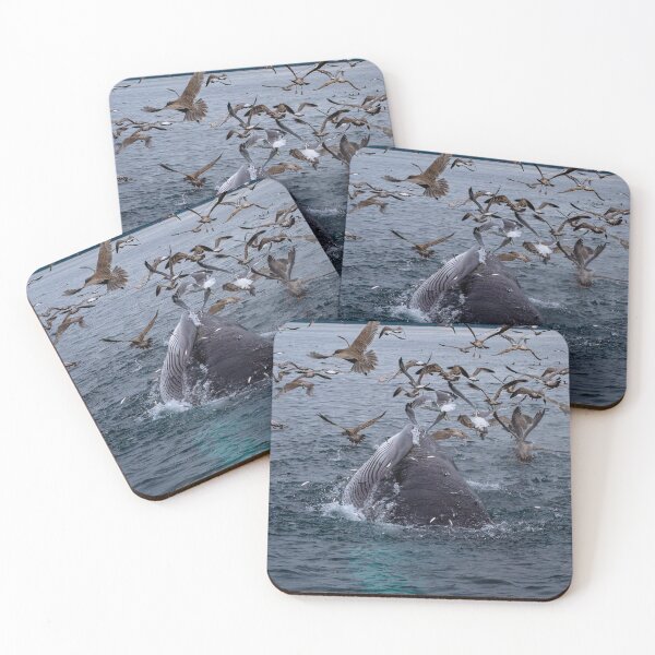 Item preview, Minke Whale Lunge Feeding designed and sold by DiveWithDrew.
