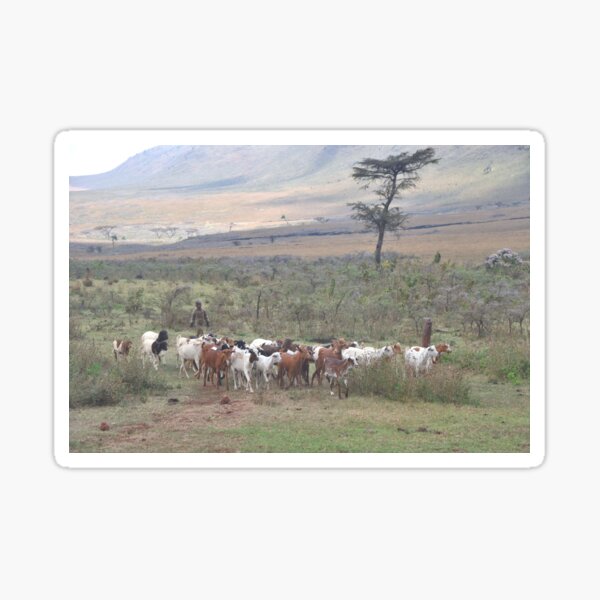 Item preview,  A Young Masai Herder Tends To His Family's  Flock In The Masai Mara, Tanzania.. designed and sold by Tom Wurl.