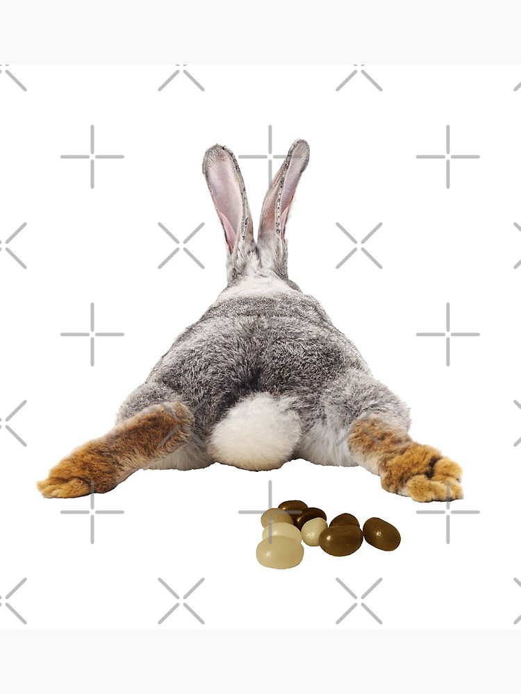 Bunny Rabbit Brown Jelly Beans Funny Art Print By Colorflowart Redbubble