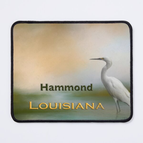 Item preview, Egret Hammond LA designed and sold by Elisabeth Lucas.