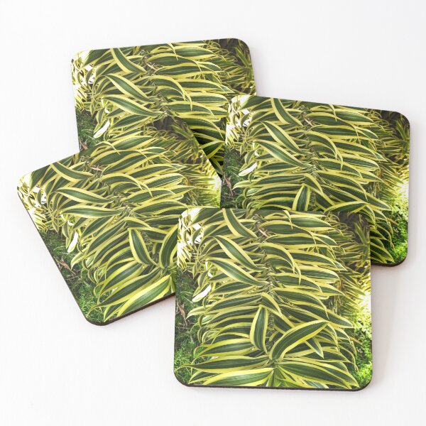 Item preview, Exotic Tropical Plant designed and sold by tw2us.