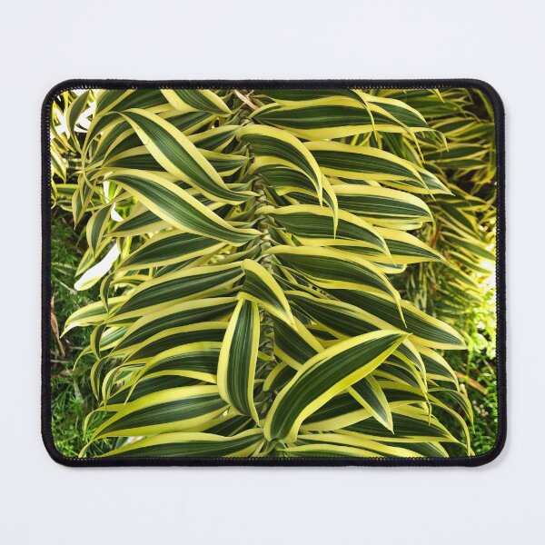 Item preview, Exotic Tropical Plant designed and sold by tw2us.