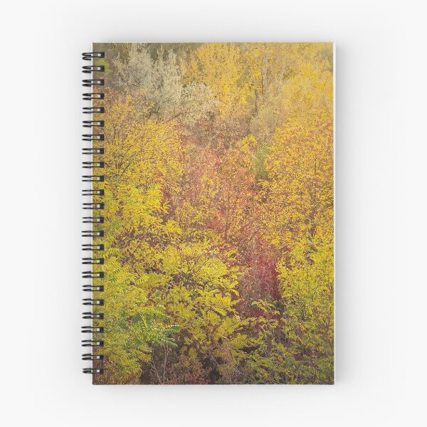 Item preview, multicolored trees texture designed and sold by psychoshadow.
