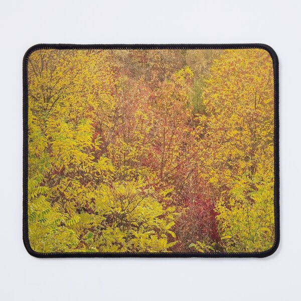 Item preview, multicolored trees texture designed and sold by psychoshadow.