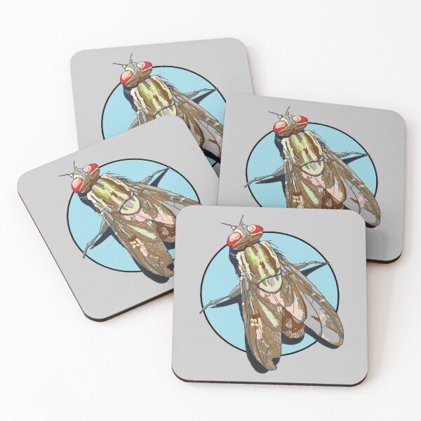 Item preview, House Fly on Blue Circle designed and sold by Marian Murdoch.