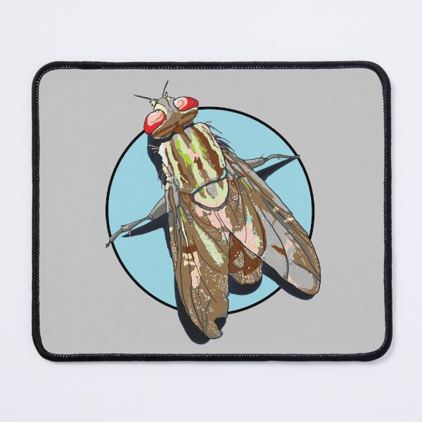 Item preview, House Fly on Blue Circle designed and sold by Marian Murdoch.