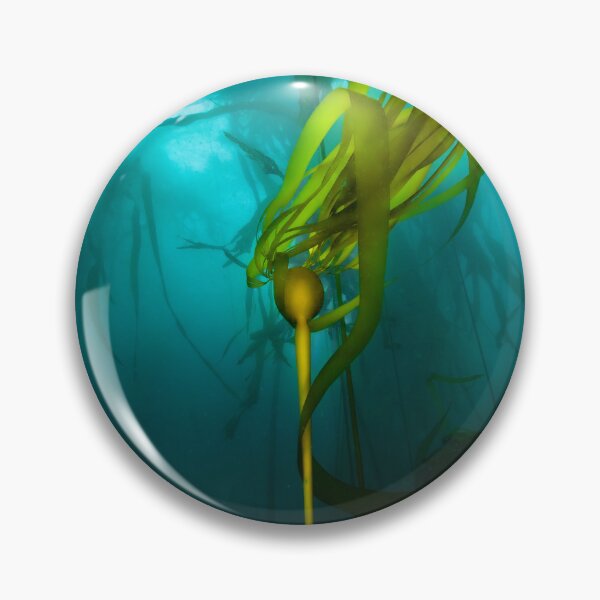 Item preview, Forest Underworld designed and sold by DiveWithDrew.