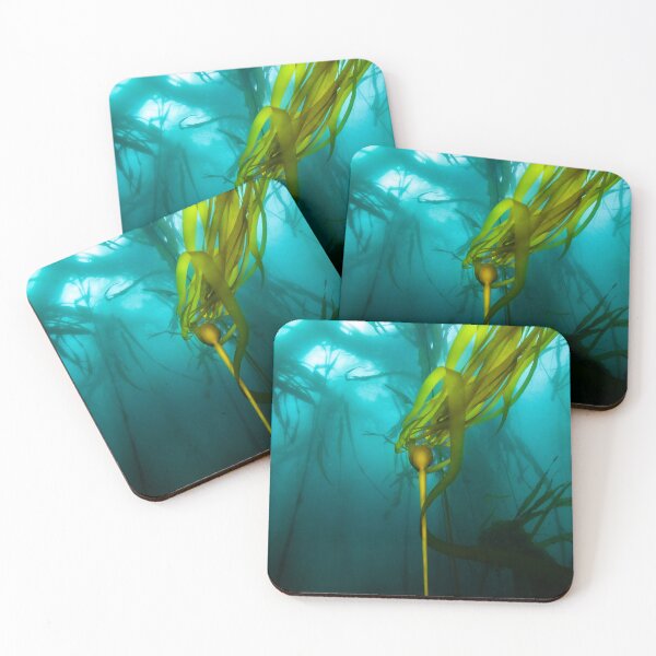 Item preview, Forest Underworld designed and sold by DiveWithDrew.