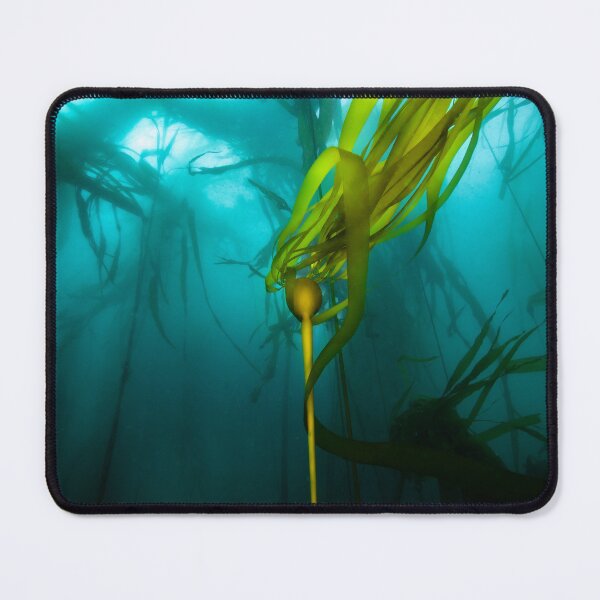 Item preview, Forest Underworld designed and sold by DiveWithDrew.